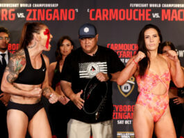 Bellator 300 co-main event