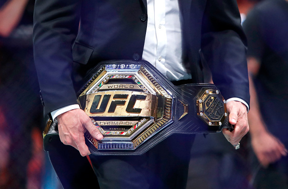 Predicting UFC Champions at the End of 2024