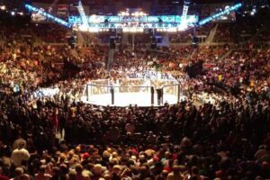 MMA Venues in the United States