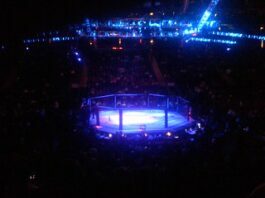 Alexander Volkanovski took to YouTube to answer fans questions recently.