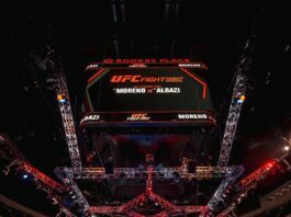 Holly Holm was granted her release from the UFC on Monday night.