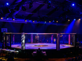 We take a look at what to be thankful for in MMA in 2025.