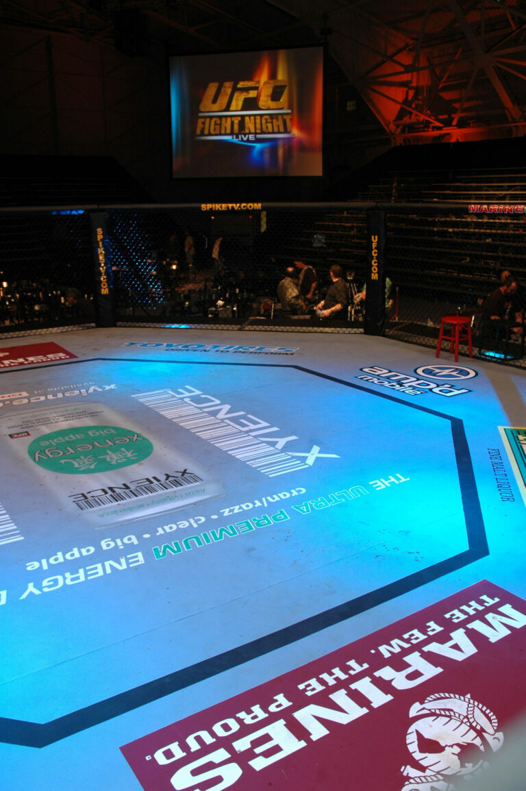 The UFC Octagon