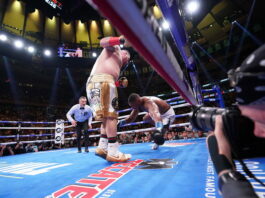 5 Boxing Underdogs That Trimphed