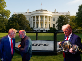 UFC White House Card – President Trump Promises Megacard Featuring ‘eight or nine’ Championship Fights