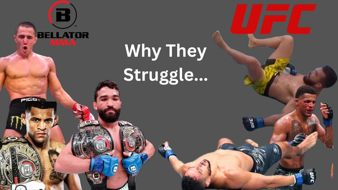 Revisiting our Outlandish MMA Predictions – 2025