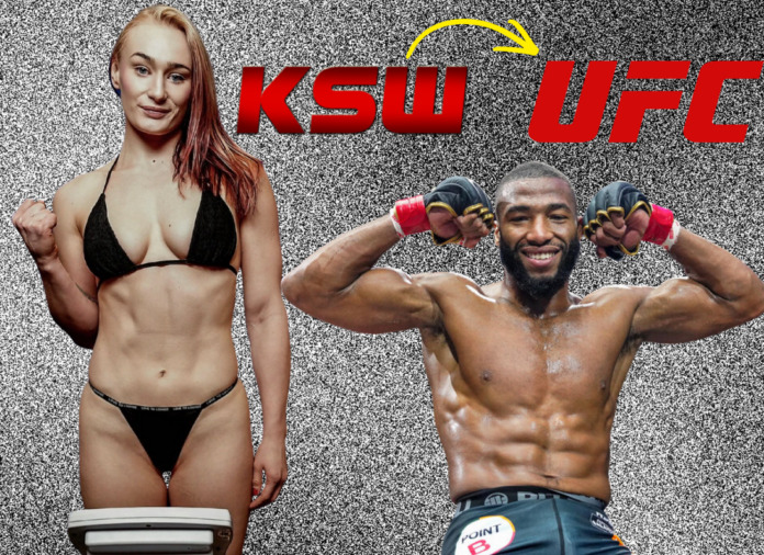 KSW 114 showed stars